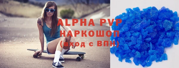прущие грибы Покров