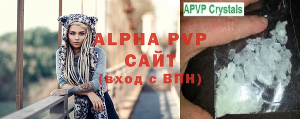 прущие грибы Покров
