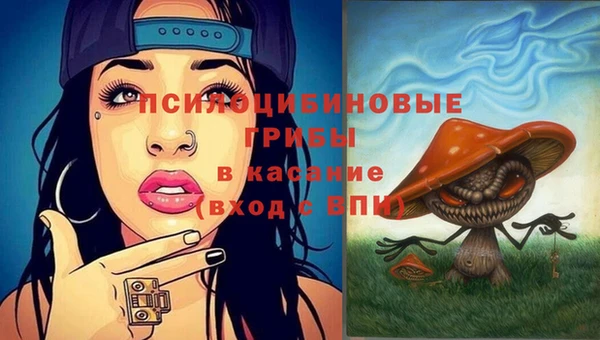 ешки Вязники