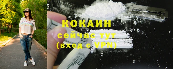 прущие грибы Покров