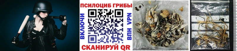 купить наркоту  Туймазы  Псилоцибиновые грибы MAGIC MUSHROOMS 