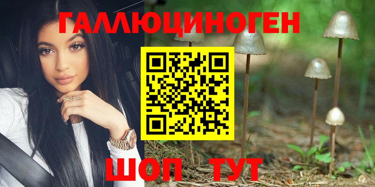 Псилоцибиновые грибы GOLDEN TEACHER Туймазы